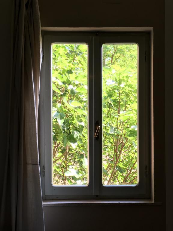 Villa Capannacce Organic And Horse Farm Rapolano Terme Exterior foto